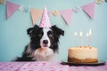 A humorous celebration: border collie dog in a birthday hat with cake and candles