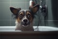 Dog in bath tub, afraid of having to get bathed Royalty Free Stock Photo