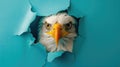 A humorous eagle peers through a ripped hole in a contrast pastel color paper background, Ai Generated Royalty Free Stock Photo