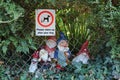 Humorous group of garden gnomes and a sign to clean up dog mess seen in a garden in the village of Nether Stowey in Somerset