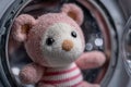 Humorous Image of Teddy Bear in Laundry Machine Royalty Free Stock Photo
