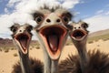 Humorous Ostrich selfie funny head. Generate Ai Royalty Free Stock Photo