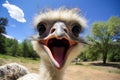 Humorous Ostrich selfie funny head. Generate Ai Royalty Free Stock Photo