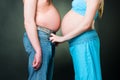 Humorous photo of pregnant woman and fat man Royalty Free Stock Photo