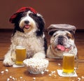 Humorous shot of two funny dogs with hats sitting at the bar and drinking beer with popcorn