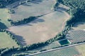 Humorous smiley emoticon on a harvested green field of Provence