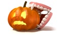 Vampire Teeth Biting Jack O'Lantern Royalty Free Stock Photo