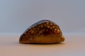 Hump-Back Cowrie. Cypraea Maurtiana L