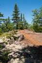 On the Humpback Trail