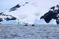 Humpback whale, Antarctic peninsula Royalty Free Stock Photo