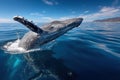 Humpback Whale Breaching in Blue Ocean Royalty Free Stock Photo