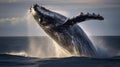 Humpback whale breaching in blue ocean water Royalty Free Stock Photo
