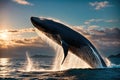 A humpback whale breaching the surface of the ocean at sunset. Royalty Free Stock Photo