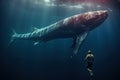 Humpback whale in the deep blue ocean. This image is a 3d render illustration, Sperm whale next to a Freediver, AI Generated