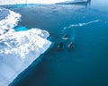 3 Humpback Whale dive near Ilulissat among icebergs. Their source is by the Jakobshavn glacier. The source of icebergs Royalty Free Stock Photo