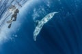 Humpback Whale`s tailfin and bubbles