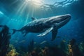 humpback whale floating in the ocean next to small fish