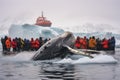 Humpback whale in Glacier Lagoon, Antarctic Peninsula, Antarctica, A Humpback Whale takes a dive while tourists capture the event Royalty Free Stock Photo