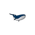 Humpback whale isolated vector graphics