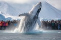 Humpback whale jumps out of the water in Antarctic waters. A Humpback Whale takes a dive while tourists film the event, Antarctica