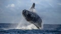 Humpback whale jumps out of the water. Beautiful jump. A rare photograph. Madagascar. St. Mary`s Island. Royalty Free Stock Photo