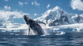 Majestic Humpback Whale Jumping Out of the Water Royalty Free Stock Photo