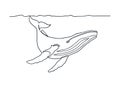 Humpback whale line art Royalty Free Stock Photo