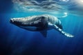 Humpback whale swimming in the deep blue ocean, underwater photo, Humpback whale swimming in deep blue ocean. Underwater Royalty Free Stock Photo