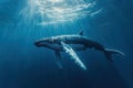 Humpback Whale Swimming in Sunlight Underwater Royalty Free Stock Photo