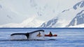 Humpback whale tail with kayak, boat or ship, showing on the dive, Antarctic Peninsula Royalty Free Stock Photo