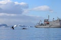 Humpback whale tail with ship, boat Royalty Free Stock Photo