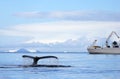 Humpback whale tail with ship, boat Royalty Free Stock Photo