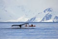 Humpback whale tail with ship, boat