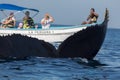 Humpback whale tail and tourists boat