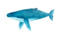 Humpback whale. Watercolor illustration Royalty Free Stock Photo