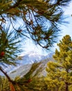 Humphreys Mountain Peak Between Pine Trees