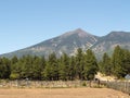 Humphreys Peak Royalty Free Stock Photo