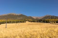 Humphreys Peak in Flagstaff, Arizona. San Francisco Peaks Landscape in Fall Season on Blue