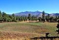 Humphreys Peak near Flagstaff, Arizona Royalty Free Stock Photo