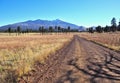 Humphreys Peak near Flagstaff, Arizona Royalty Free Stock Photo