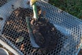 Humus is sieved with a shovel into a wheelbarrow for further processing Royalty Free Stock Photo