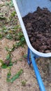 Humus in a wheelbarrow. Transport manure in a garden cart. Cleaning compost in the garden Royalty Free Stock Photo