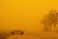 Humvee in sandstorm