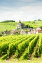 Hunawihr, Alsace Royalty Free Stock Photo