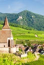 Hunawihr, Alsace, France Royalty Free Stock Photo