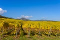 Hunawihr - small village in vineyards of alsace - france Royalty Free Stock Photo