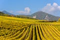 Hunawihr - small village in vineyards of alsace - france Royalty Free Stock Photo