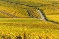 Hunawihr - small village in vineyards of alsace - france Royalty Free Stock Photo