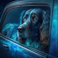 Hund fÃÂ¤hrt im blauen Auto