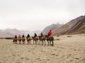 Hunder is a village in Leh district of Ladakh, India famous for Sand dunes, Bactrian camels